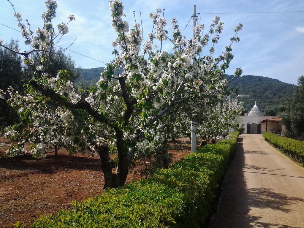 ファザーノLa Collina Degli Uliviアパートメント エクステリア 写真